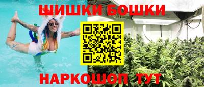 дмт Будённовск