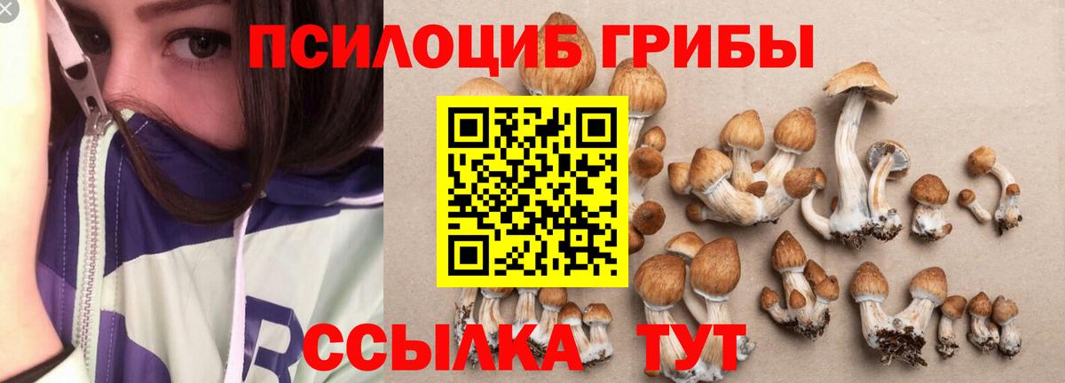 Чебоксары  Галлюциногенные грибы прущие грибы  Вход с VPN 